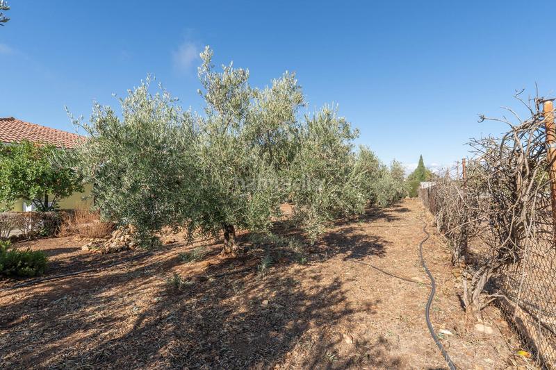 Foto 66bf1c04-ad43-490b-bd5a-ecf1e22160b2. Xalet amb aparcament a Moraleda de Zafayona