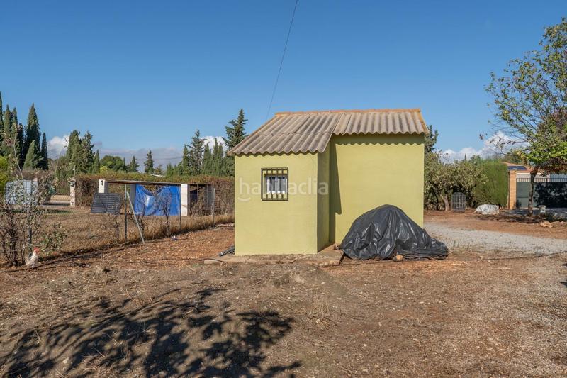 Foto 9265c298-f590-464c-bd1e-2341ffde8451. Xalet amb aparcament a Moraleda de Zafayona