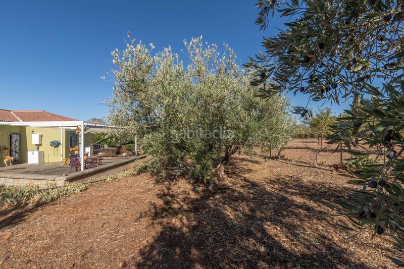 Foto c9bee16e-3d46-4854-af50-c814a118b6b5. Xalet amb aparcament a Moraleda de Zafayona