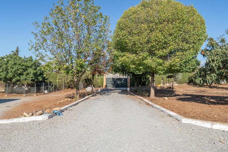 Foto e6a1aae9-2df8-4f13-8e7f-d61ec14235cb. Xalet amb aparcament a Moraleda de Zafayona