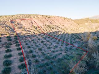 Finca rústica a Calicasas. Venta de terreno rústico en calicasas de 11.000 m2 d