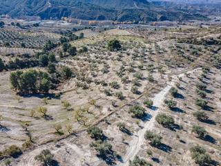 Finca rústica a Jayena. Finca en venta en jayena
