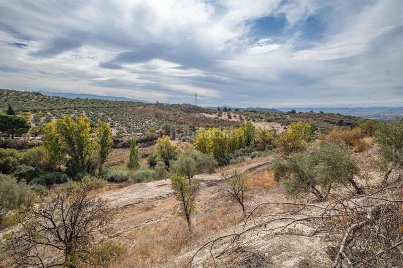 Foto 04cd648f-553b-46ac-86c7-96335faf573e. Xalet amb aparcament a Alfacar