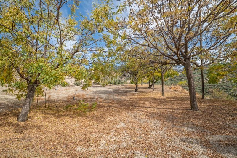 Foto 48df9b5a-c5ef-4733-8d03-c39f107a454d. Xalet amb aparcament a Alfacar