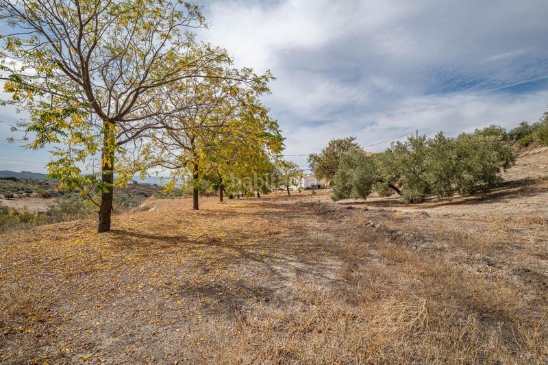 Foto 54e45c43-22eb-4186-a675-2690dad16f1e. Xalet amb aparcament a Alfacar