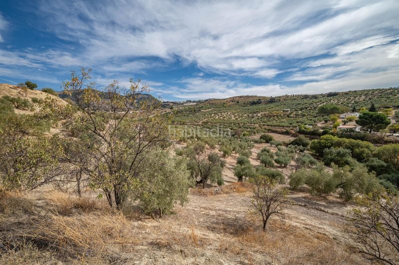 Foto 6d4145f8-57ba-457a-834a-bef79e545f17. Xalet amb aparcament a Alfacar