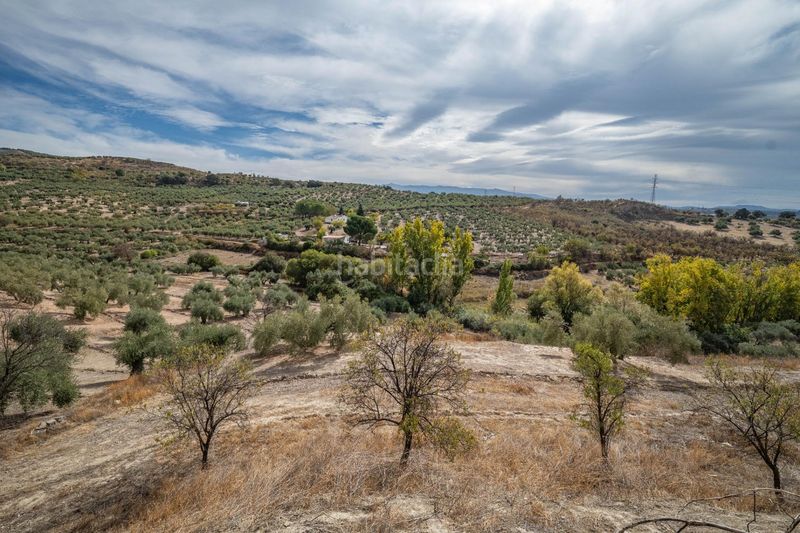 Foto 8b9d6ecf-b568-4d97-b88d-e6ddee77d69d. Xalet amb aparcament a Alfacar