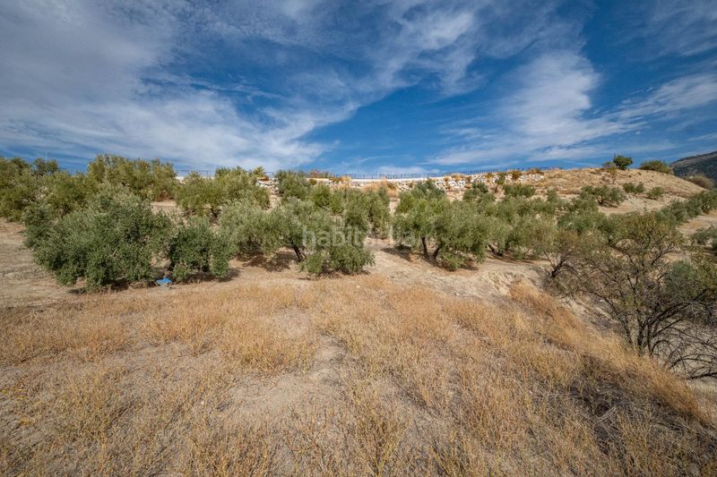 Foto a69af4f6-22bb-44ed-86f0-e1e0ceda8af4. Xalet amb aparcament a Alfacar