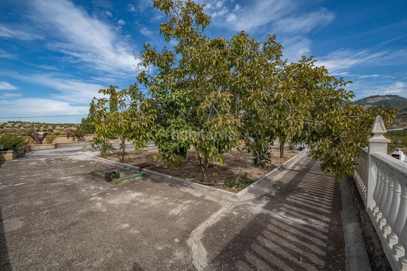 Foto e7f49d21-1dd4-4a29-b180-f249d136c5c7. Xalet amb aparcament a Alfacar