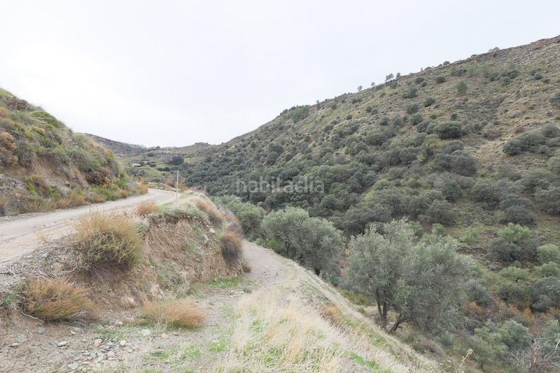 Foto b8048fa6-5f44-4070-8490-0e70c0b9c60c. Finca rústica a extrarradio a Monachil pueblo Monachil