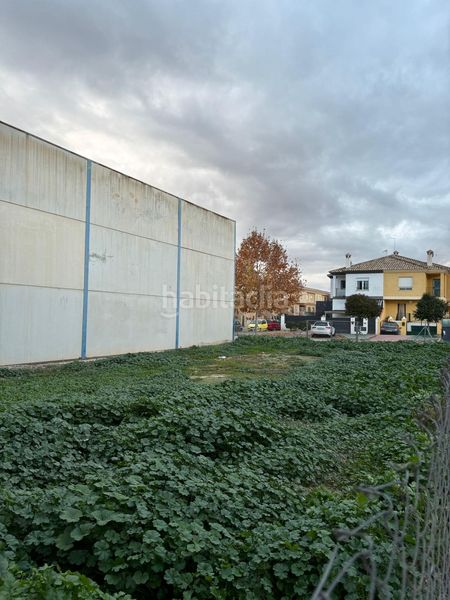 Foto 42930944-eb05-420b-b0f1-a48e95d6f57a. Area edificabile industriale in Cijuela