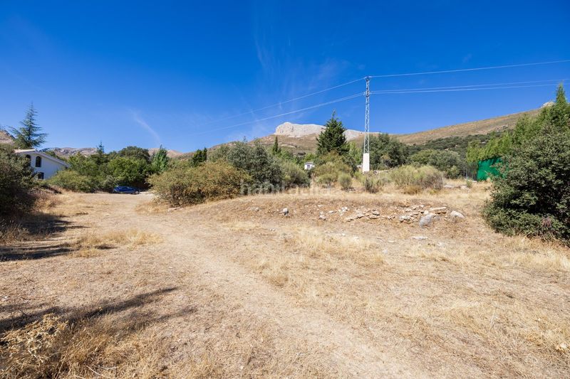 Foto e83c99a8-6b3c-4628-a5be-b00a7a563fa3. Finca rústica a Huétor de Santillán