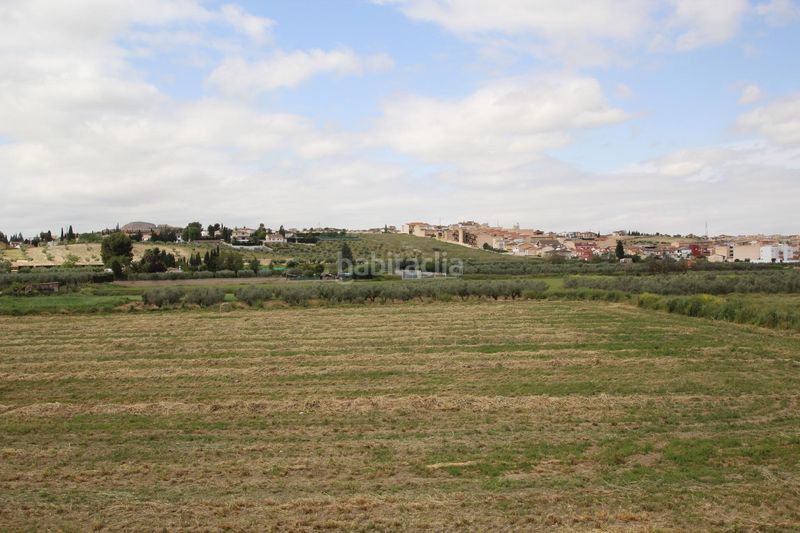 Foto 5703580a-30c9-4678-a3e2-dc4de924b262. Finca rústica a Residencial Triana - Barrio Alto Gabias (Las)