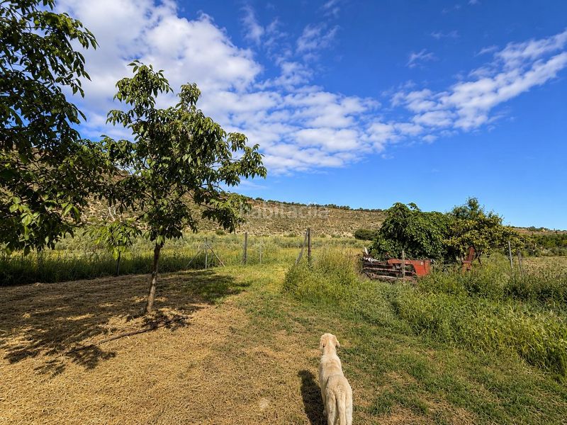 Foto e3100df8-2b6e-4548-a917-e22083d6e8d5. Masía magnífica finca rústica con edificación en Monachil pueblo Monachil