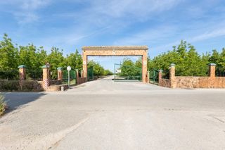Masia a Pinos Puente. Finca rústica en venta  vega norte de granada