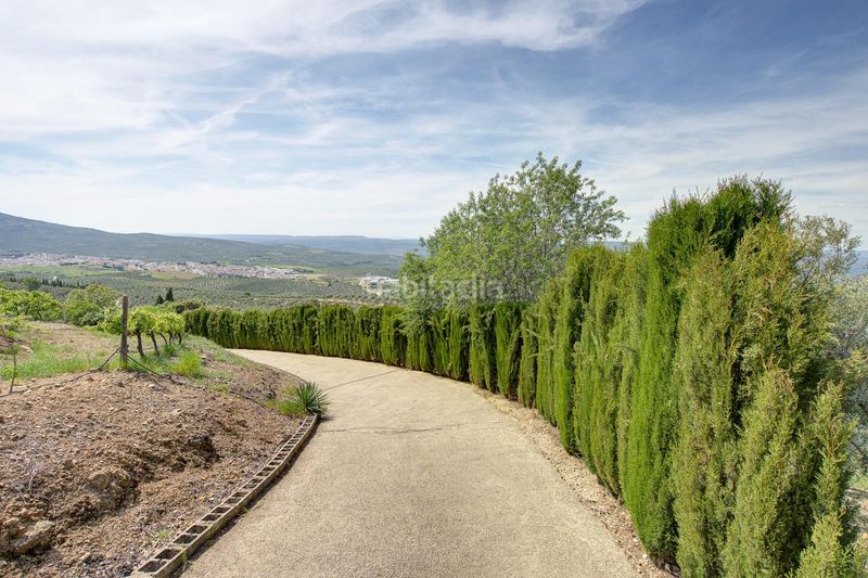 Foto ca2c4649-4d1b-4597-b487-a9d7dd7fd142. Chalet mit parking pool in San Ildefonso - Catedral Jaén