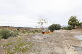 Landgut in Extrarradio. Magnífica finca de 400 olivos en monachil