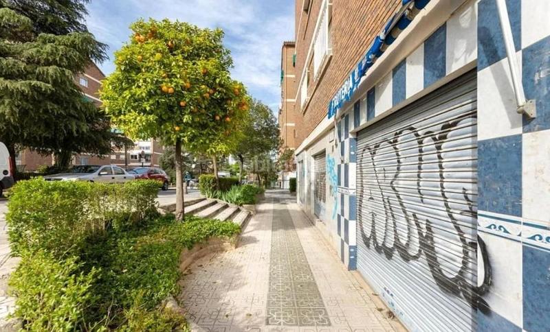 Foto fcefd83a-47ca-45ce-b17b-f4ab0e6635e0. Local comercial a calle santa amelia 26 a Joaquina Eguaras Granada