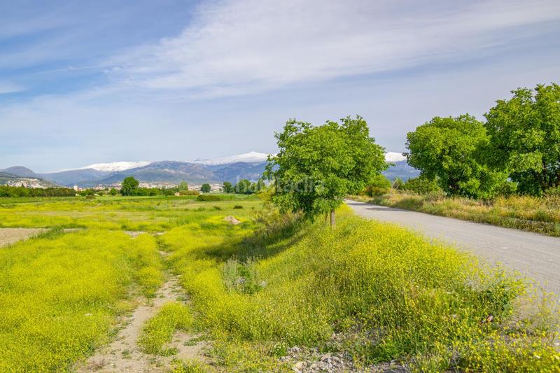 Foto 4d1c52a0-0354-486f-8d25-66b8e02886c5. Terreno residencial en Camino de Ronda Granada