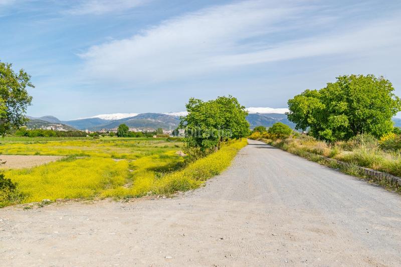 Foto d93eaed3-cbd8-4795-b959-b2b68f381e4f. Terreno residencial en Camino de Ronda Granada