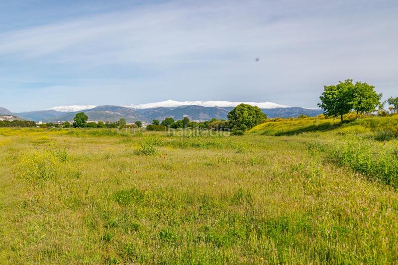 Foto 230fa7ef-0e53-4b19-bc40-a2a4cfc44543. Terrain résidentiel dans Camino de Ronda Granada