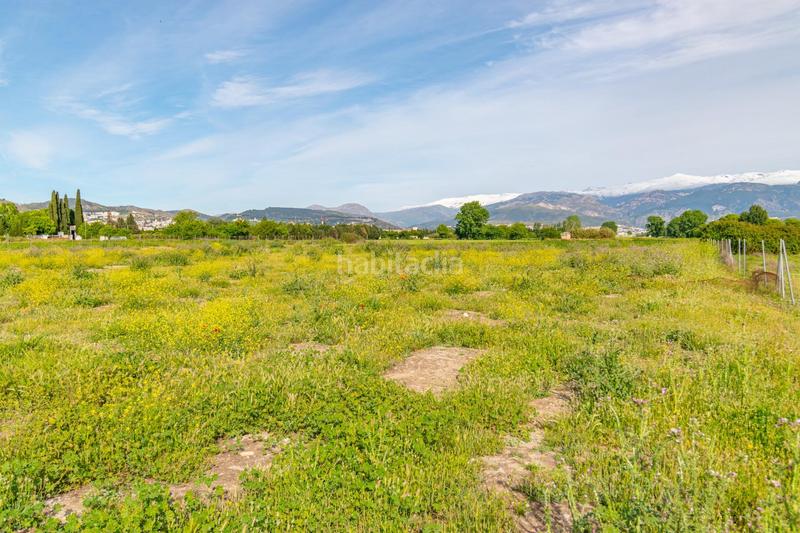 Foto 6c0a93bc-2f77-4b18-be0d-eaba2f1f9f41. Terrain résidentiel dans Camino de Ronda Granada