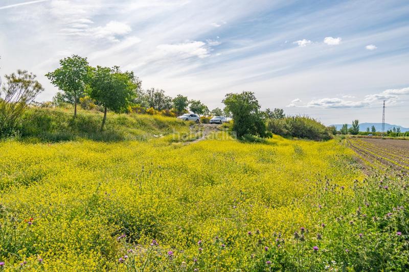 Foto 85d280e2-626e-4ada-9cc0-fae0fb4a440a. Terrain résidentiel dans Camino de Ronda Granada