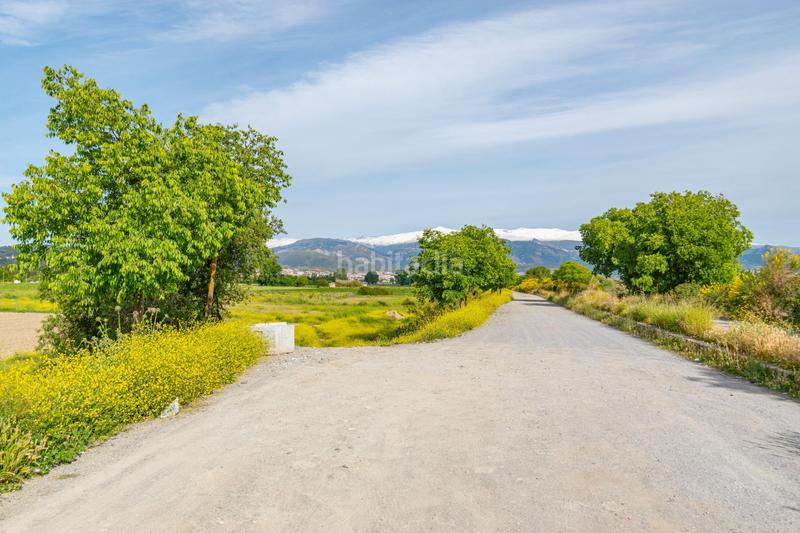 Foto 90f1eb49-dc44-4f53-99b0-7fb8cdfee8d4. Terrain résidentiel dans Camino de Ronda Granada