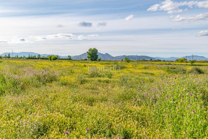 Foto 530ff25b-ec4a-4433-8a04-f23046c6d95d. Wohngrundstück in Camino de Ronda Granada