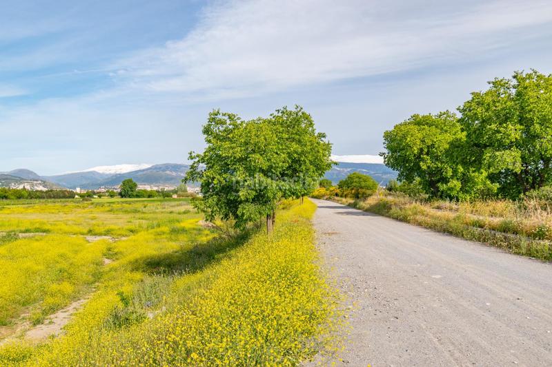Foto 71c1d4d8-0b62-4e52-834d-b571bcab8471. Wohngrundstück in Camino de Ronda Granada