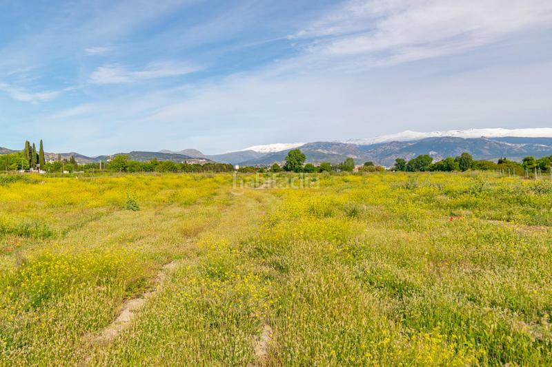 Foto dcb5fa10-0f5c-4ae1-b07a-5f2b5babcafa. Wohngrundstück in Camino de Ronda Granada