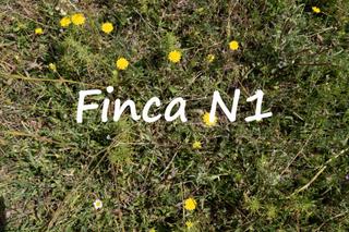 Finca rústica a Polígono polígono 2 parcela 40 alberquillas. soportujar (g 2. Parcela en venta en soportújar