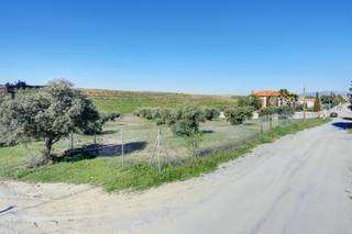 Terrain résidentiel  Avenida san javier. Terreno las gabias de secano 5.000 m2 con 50 olivos