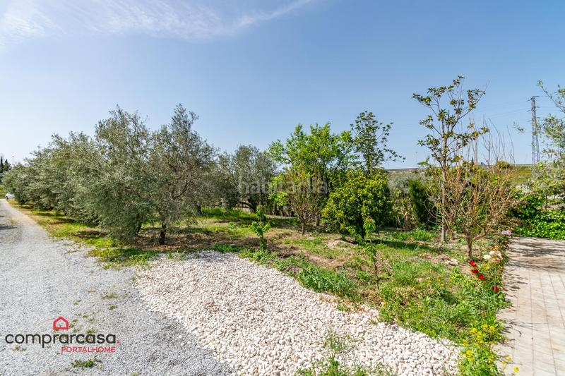 Foto 336c33f0-3c5c-4831-b47b-54077ec704cf. Landgut in Centro - Sagrario Granada