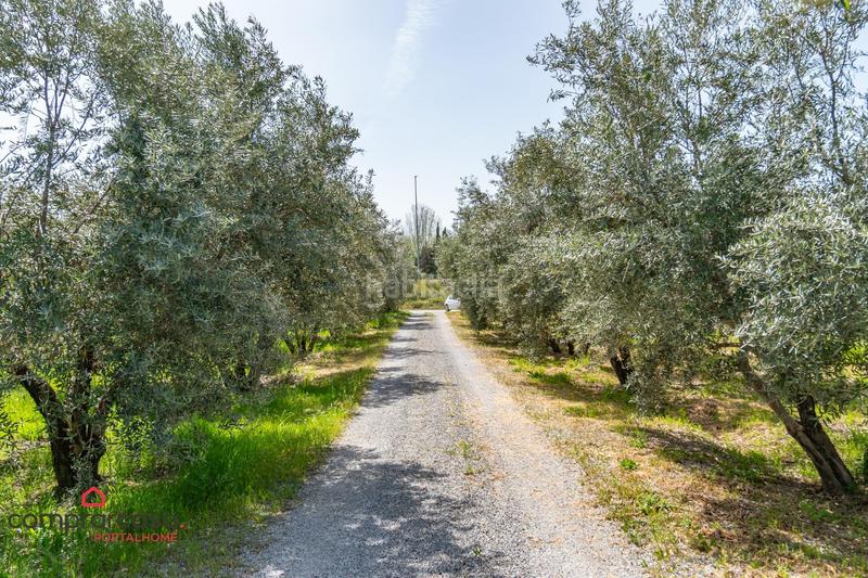 Foto 74ce3d4e-9b8c-43ac-b1ee-ba4d065394d9. Landgut in Centro - Sagrario Granada