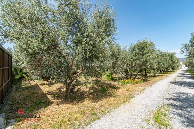 Foto 972fa90a-74f3-4e60-87a0-33a6dcd392d5. Landgut in Centro - Sagrario Granada