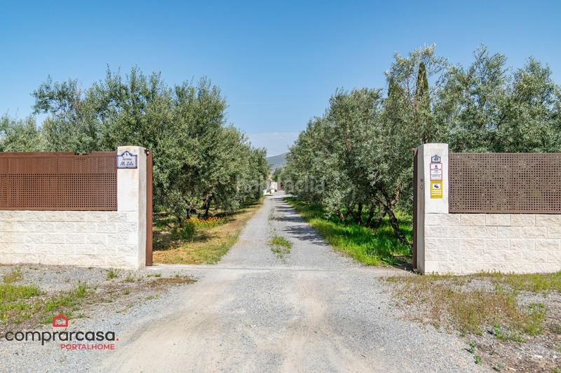 Foto ce00376a-bdf9-456a-bf43-25cc4ec8599b. Landgut in Centro - Sagrario Granada
