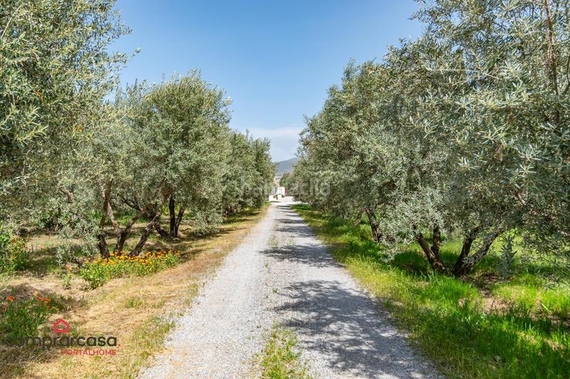 Foto f9bb73de-d371-4911-a45a-8f5927f84c49. Landgut in Centro - Sagrario Granada