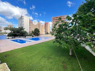 Pis  Avenida montecarlos 11. En benidorm