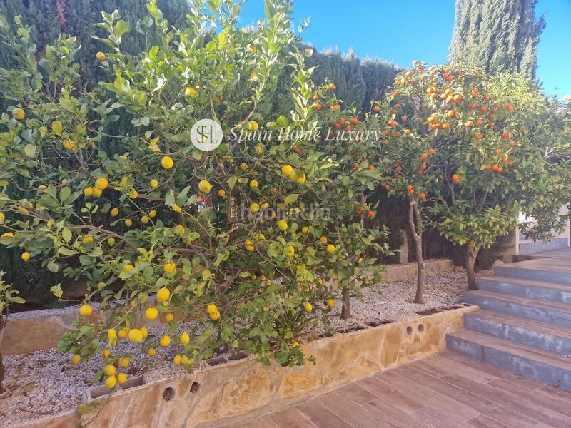 Foto 33e60b46-47a0-4181-a712-532e5c1d48ce. Xalet amb aparcament piscina a Centro Poble Nou de Benitatxell (el)