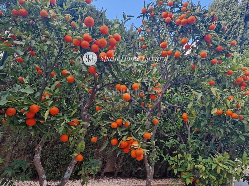 Foto 6753a572-7183-4ded-93dd-a765ea12ad32. Xalet amb aparcament piscina a Centro Poble Nou de Benitatxell (el)