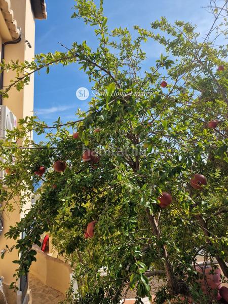 Foto 8d3604e6-9fcc-4572-963d-30b1f3e55a3e. Xalet amb aparcament piscina a Centro Poble Nou de Benitatxell (el)