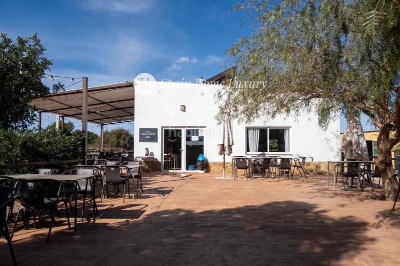 Foto 97cba678-d9fe-4f61-89c6-96968c24524c. Chalet en Centro Bétera