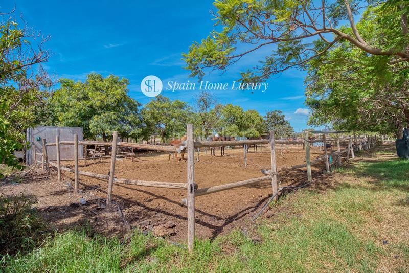 Foto 1b965bf8-550f-4307-a8b5-6b4dee15c2f0. Chalet en Centro Bétera