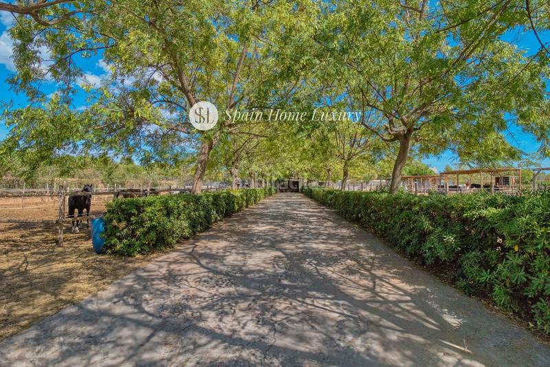 Foto 5deaaa1b-3b2f-4500-b0a2-2e172fb1ae95. Chalet en Centro Bétera