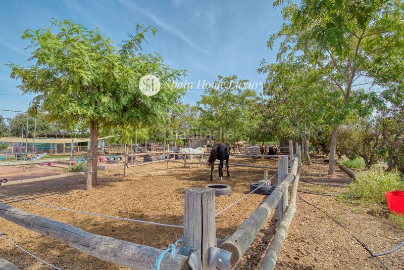 Foto 6ff00edd-c7c0-4165-a887-c0af3034092e. Chalet en Centro Bétera