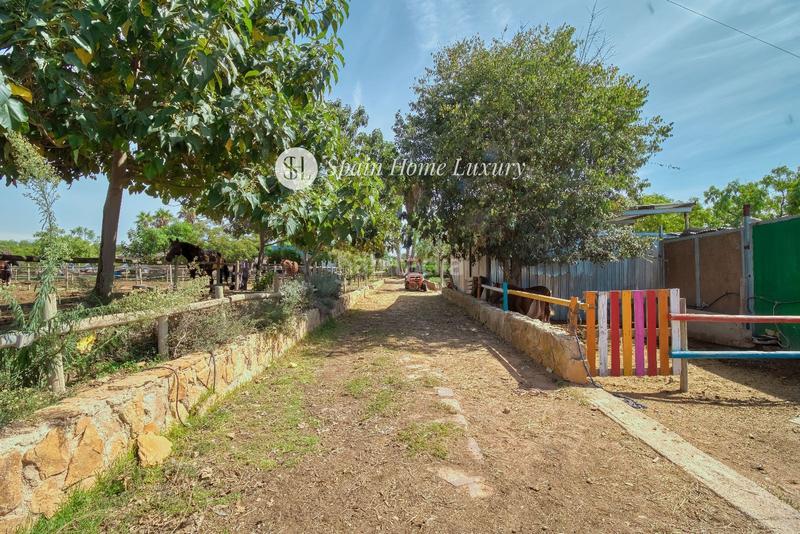 Foto 7a414d87-c5e0-4657-a332-82dfafd635d0. Chalet en Centro Bétera