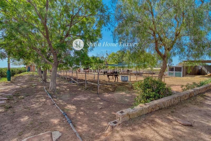 Foto 7e3fc009-ff7d-433f-85c4-2509ed047e51. Chalet en Centro Bétera