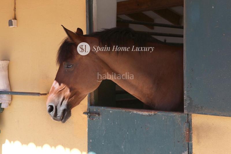 Foto 3b33dace-f091-4733-8ab1-b309c742a290. Chalet en Centro Bétera