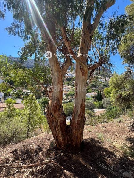 Foto 225ab66a-ca24-4ce1-8123-78acfd9f2c67. Propriété dans Canuta Calp